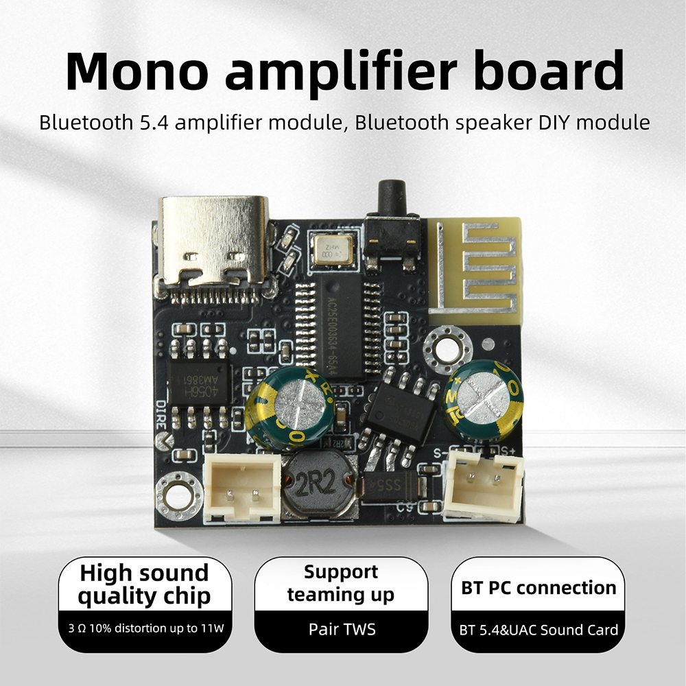 BPM13 Plus 6.2W Mono Class D A - Audio Music Mp3 Free recension och pris
